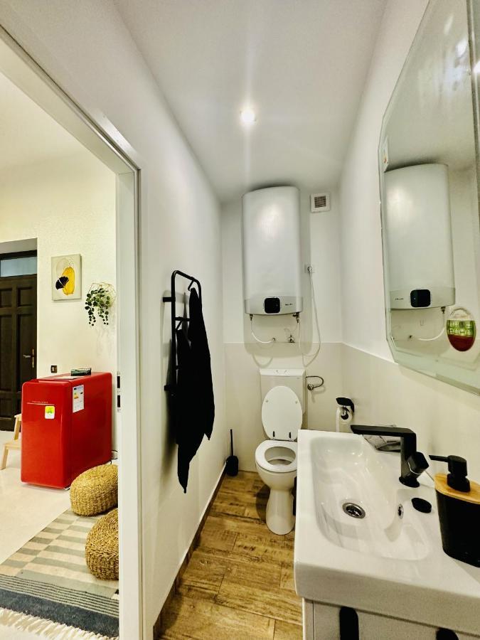 Clever Studio Near Central Shopping Center Cluj-Napoca Eksteriør billede